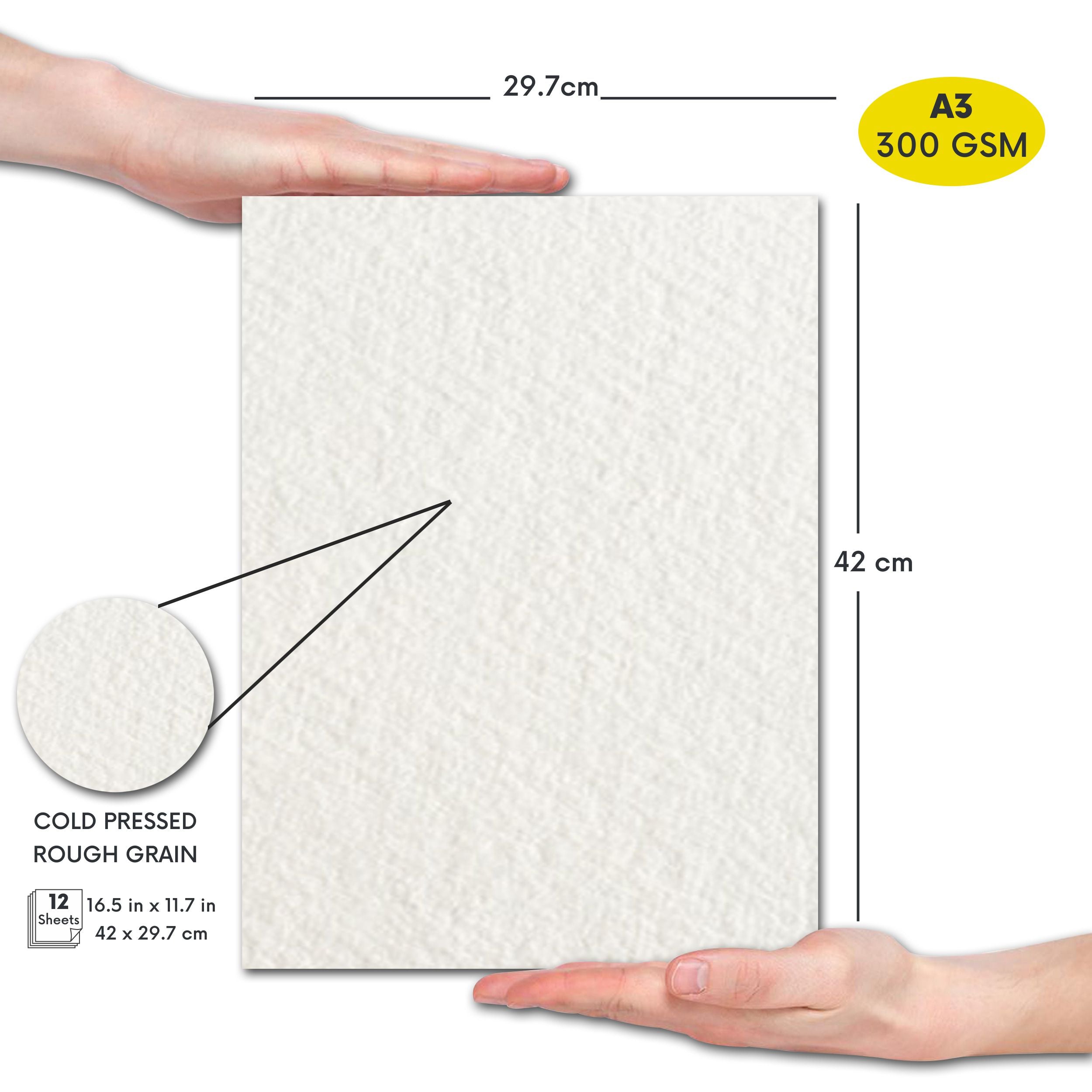 100% Cotton Watercolor Paper Pad, 18 x 24, Made in Holland, 300gsm, 12  Sheets